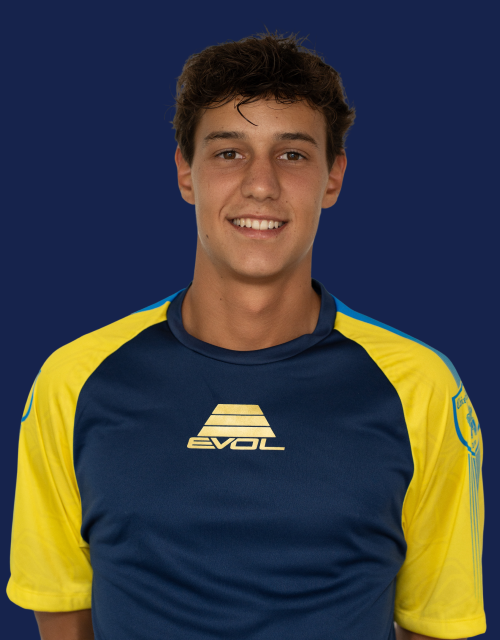 Odinelli
